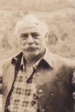 محمود تهرانی