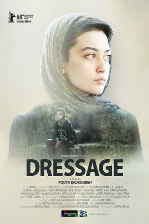 درساژ (Dressage)