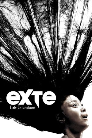 エクステ (Exte: Hair Extensions)