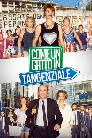 Come un gatto in tangenziale (Like a Cat on a Highway)