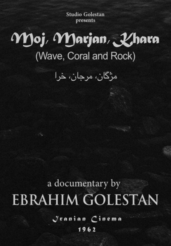 موج و مرجان و خارا (Wave, Coral and Rock)