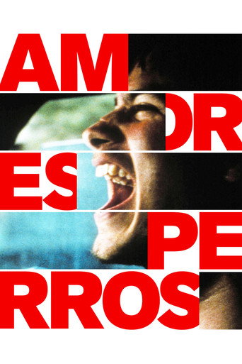 عشق سگی (Amores Perros)