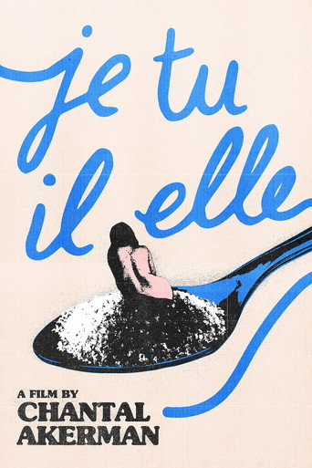 Je, tu, il, elle (Je Tu Il Elle)