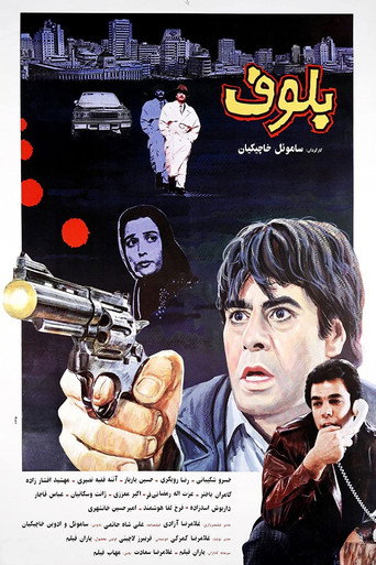 بلوف (Bluff)