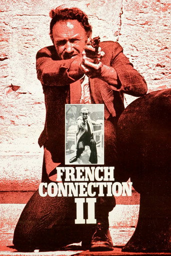ارتباط فرانسوی ۲ (French Connection II)