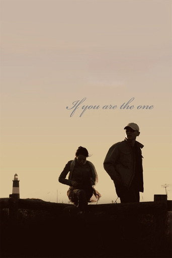 非诚勿扰 (If You Are the One)