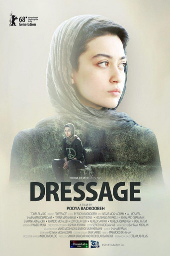 درساژ (Dressage)
