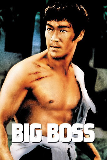 رئیس بزرگ (The Big Boss)