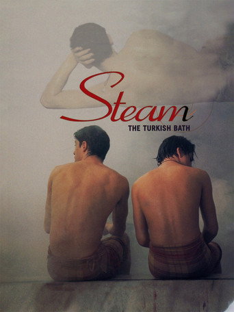 Hamam (Steam: The Turkish Bath)