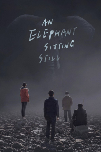 大象席地而坐 (An Elephant Sitting Still)