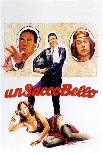 Un sacco bello (Fun Is Beautiful)