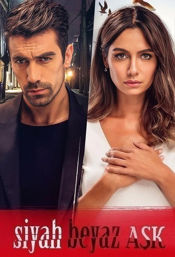 Siyah Beyaz Aşk (Price Of Passion)