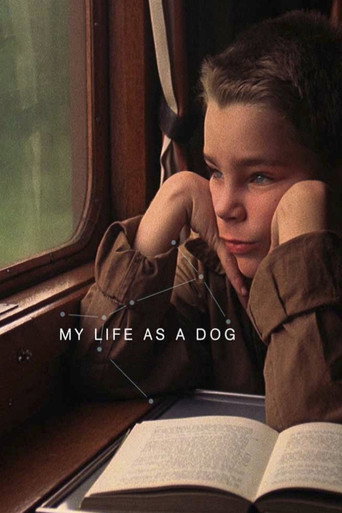 Mitt liv som hund (My Life as a Dog)