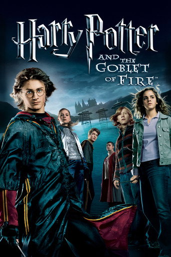 هری پاتر و جام آتش (Harry Potter and the Goblet of Fire)
