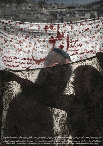 ابلق (Pinto)