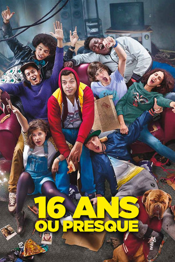 16 ans ou presque (The Adulteen)