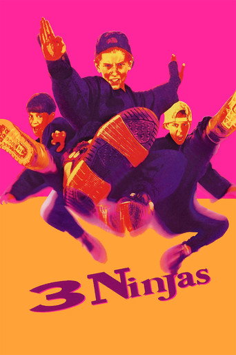 ۳ نینجا (3 Ninjas)