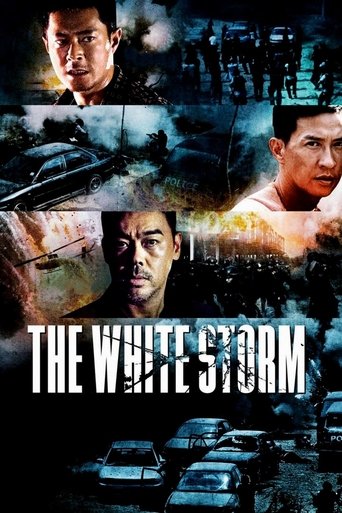 掃毒 (The White Storm)