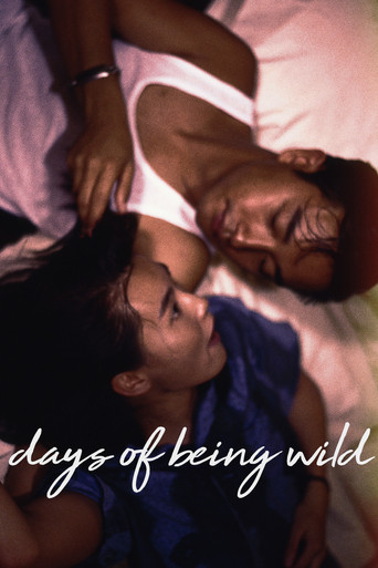روزهای وحشی بودن (Days of Being Wild)