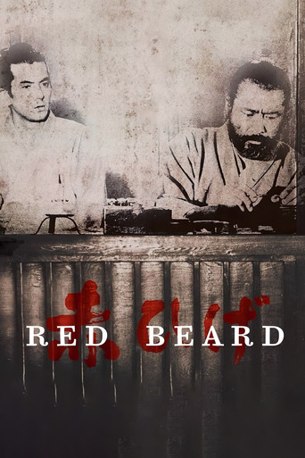 ریش قرمز (Red Beard)