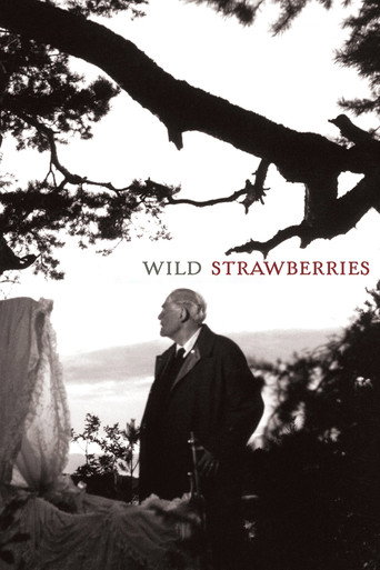 Smultronstället (Wild Strawberries)