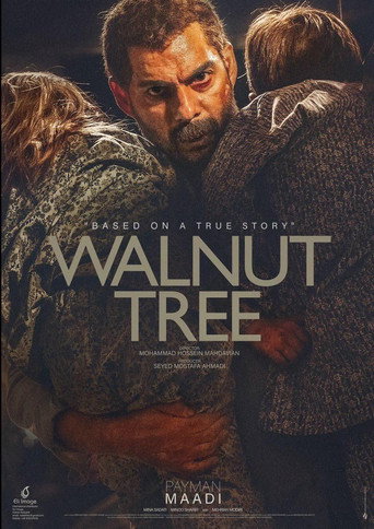 درخت گردو (Walnut Tree)