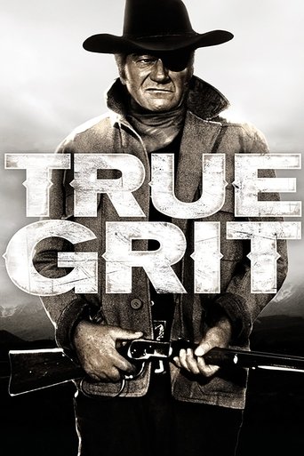 شهامت واقعی (True Grit)