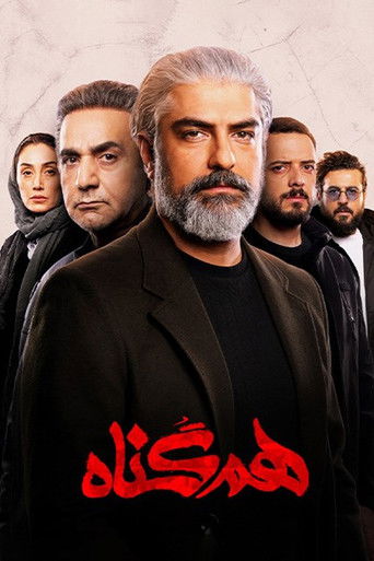 هم‌گناه (The Accomplice)