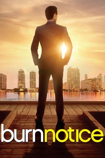 مهره سوخته (Burn Notice)