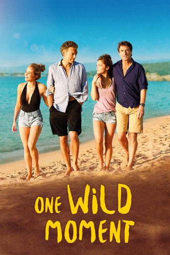 Un moment d'égarement (One Wild Moment)