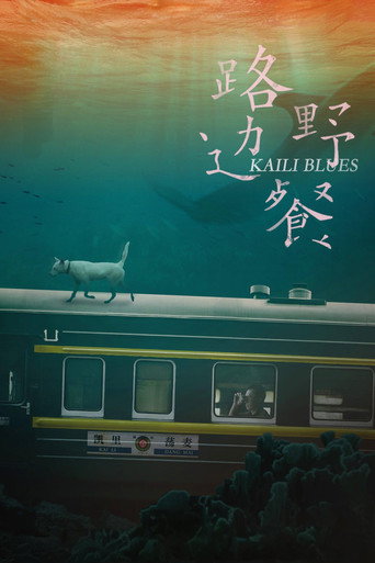 路边野餐 (Kaili Blues)