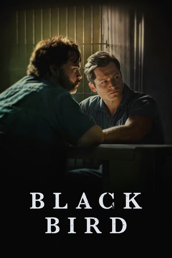 پرنده سیاه (Black Bird)
