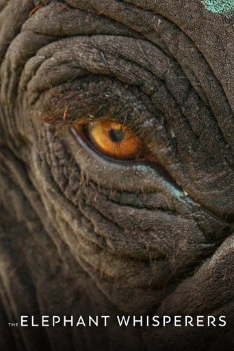 தி எலிபெண்ட் விசுபெரர்சு (The Elephant Whisperers)