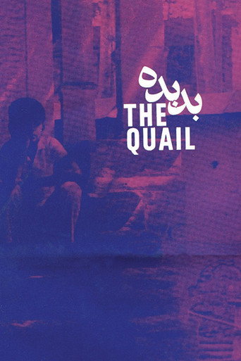بدبده (The Quail: The Tale of a Boy Who Asks)