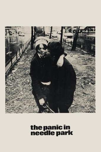 وحشت در پارک سوزنی (The Panic in Needle Park)