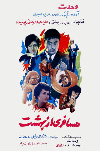 مسافری از بهشت (A Traveler from Heaven)