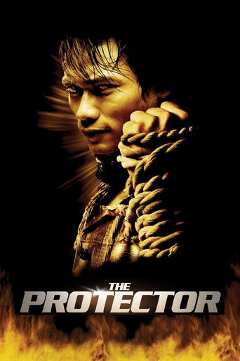 محافظ 1 (The Protector)