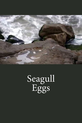 تخم مرغ‌های دریایی (Seagull Eggs)