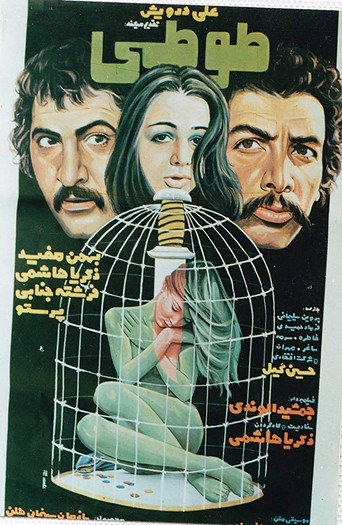 طوطی (Parrot)