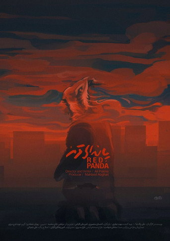 پاندای قرمز (Red Panda)