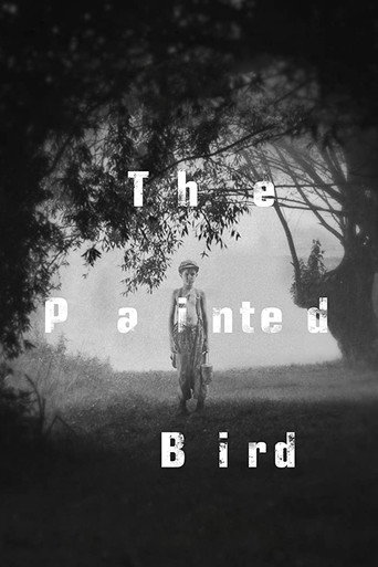 پرنده رنگین (The Painted Bird)