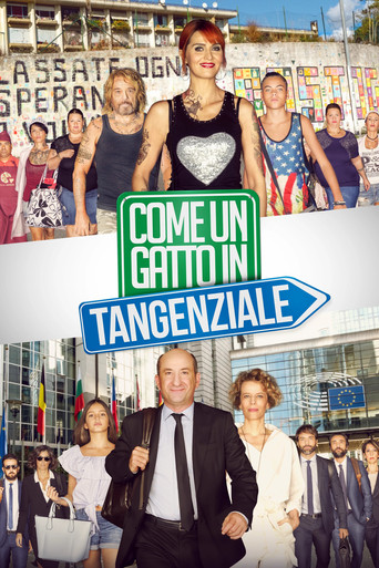 Come un gatto in tangenziale (Like a Cat on a Highway)