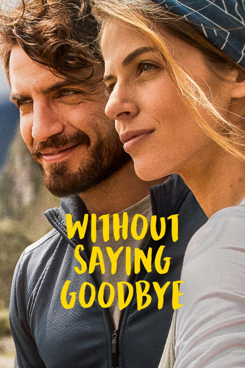 Hasta que nos volvamos a encontrar (Without Saying Goodbye)