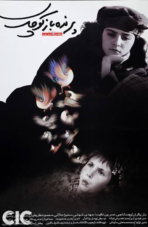 پرنده‌باز کوچک (The Little Bird Boy)