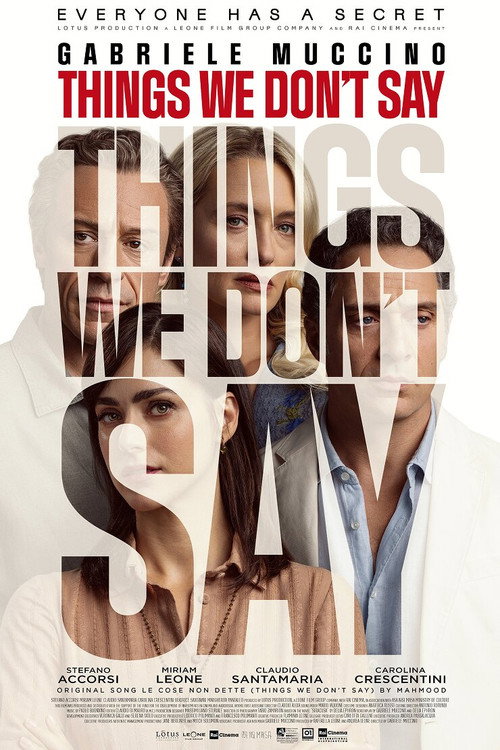 Le cose non dette (Things We Don't Say)