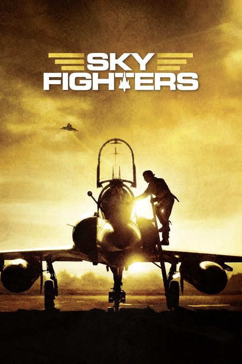 Les Chevaliers du ciel (Sky Fighters)