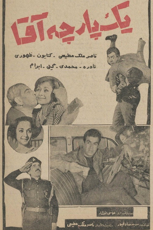 یک پارچه آقا (A Perfect Gentleman)