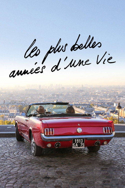 Les plus belles années d'une vie (The Best Years of a Life)