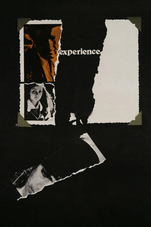 تجربه (Experience)