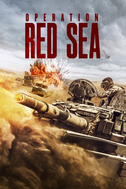 红海行动 (Operation Red Sea)